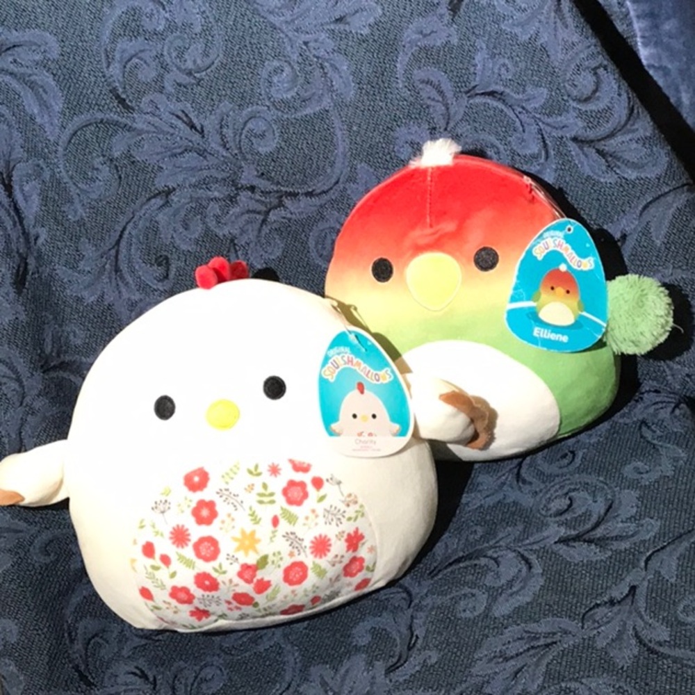 NWT Squishmellows Charity and Elliene
